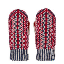 Load image into Gallery viewer, Lycksele Pattern Suede Palm Swedish Mittens