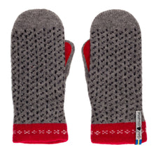 Load image into Gallery viewer, Skaftö Pattern Suede Palm Swedish Mittens